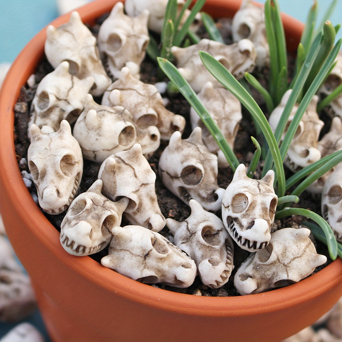Bonsai Garden World - 20 ชิ้นหัวมังกร Skull บอนไซรูปปั้นตกแต่ง, Cool ตกแต่งสวน