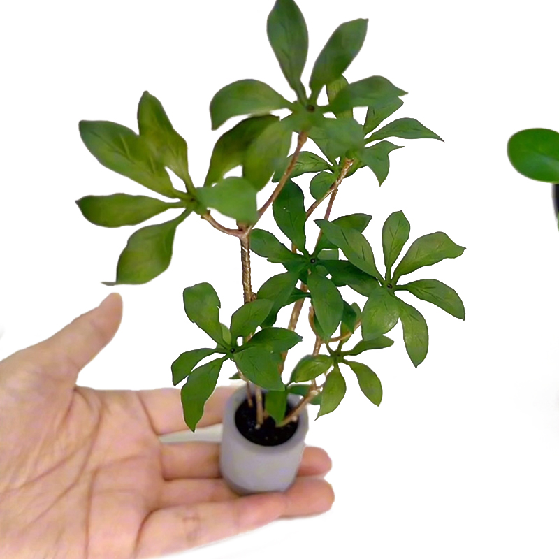 Bonsai Garden Home - บ้านตุ๊กตา1:6กระถางต้นไม้โมเดลสีเขียวใบกระถางต้นไม้บอนไซประดับสวนอุปกรณ์ตกแต่งบ้านตุ๊กตา