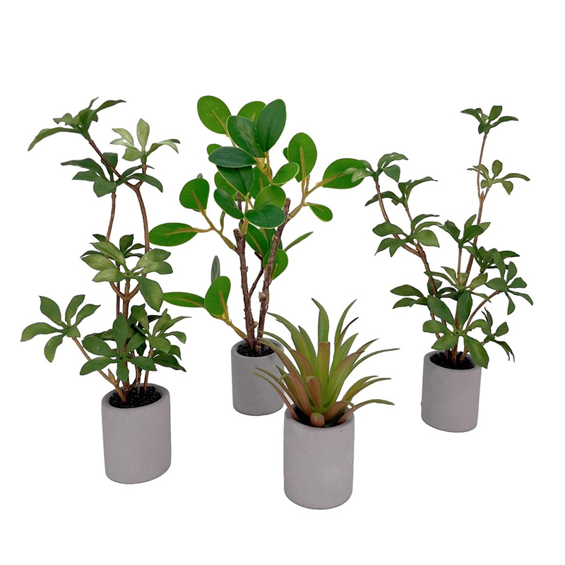 Bonsai Garden Home - 1:6 Dollhouse Miniature กระถางต้นไม้สีเขียวใบพืชหม้อบอนไซบ้านสวนตกแต่งของเล่นตุ๊กตาอุปกรณ์เสริม House