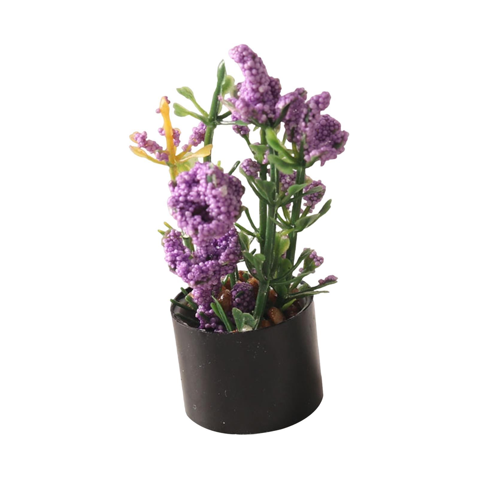 1/12 ดอกไม้จิ๋วประดับบ้าน ของต - Bonsai Garden Photos บทวิจารณ์และราคา