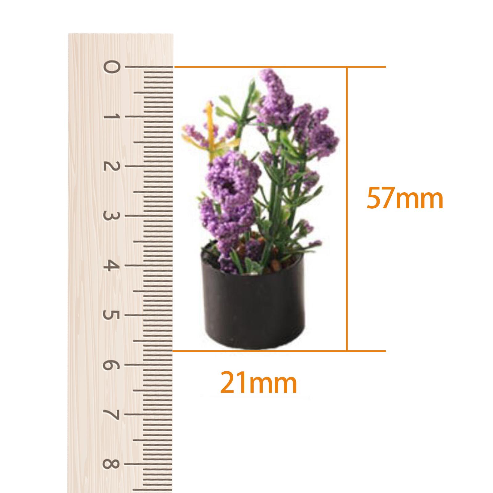 1/12 ดอกไม้จิ๋วประดับบ้าน ของต - Bonsai Garden Photos บทวิจารณ์และราคา