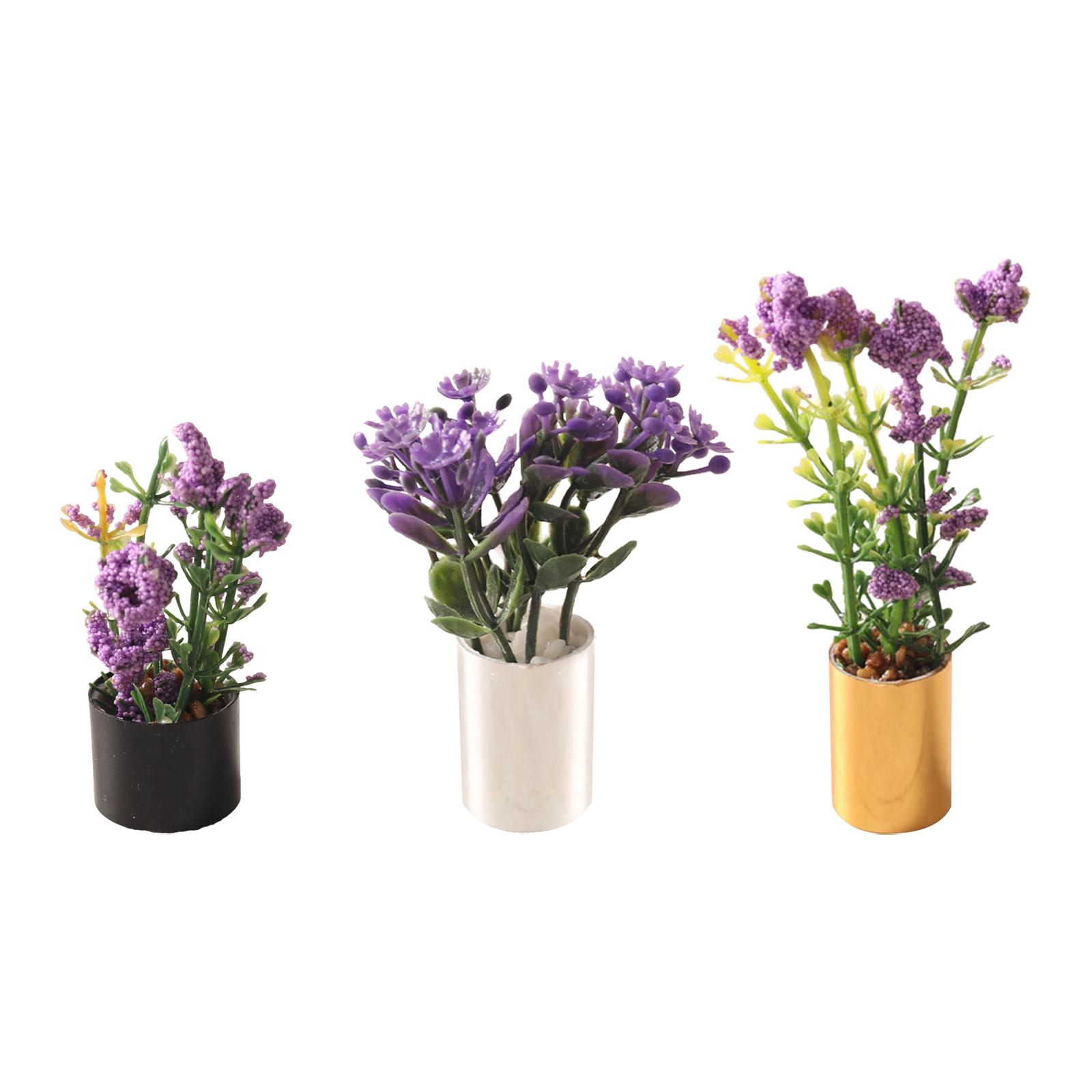 1/12 ดอกไม้จิ๋วประดับบ้าน ของต - Bonsai Garden Photos บทวิจารณ์และราคา