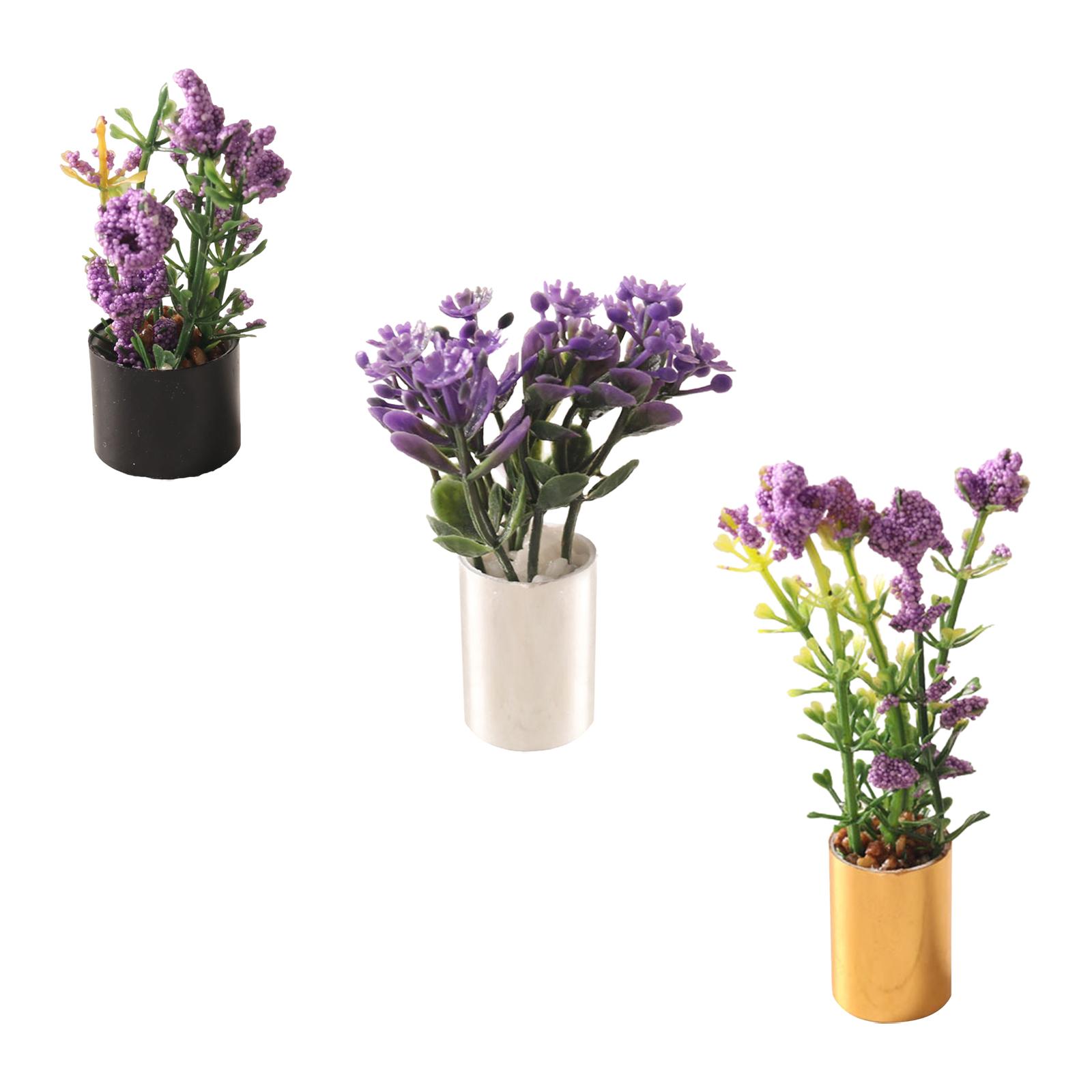 1/12 ดอกไม้จิ๋วประดับบ้าน ของต - Bonsai Garden Photos บทวิจารณ์และราคา