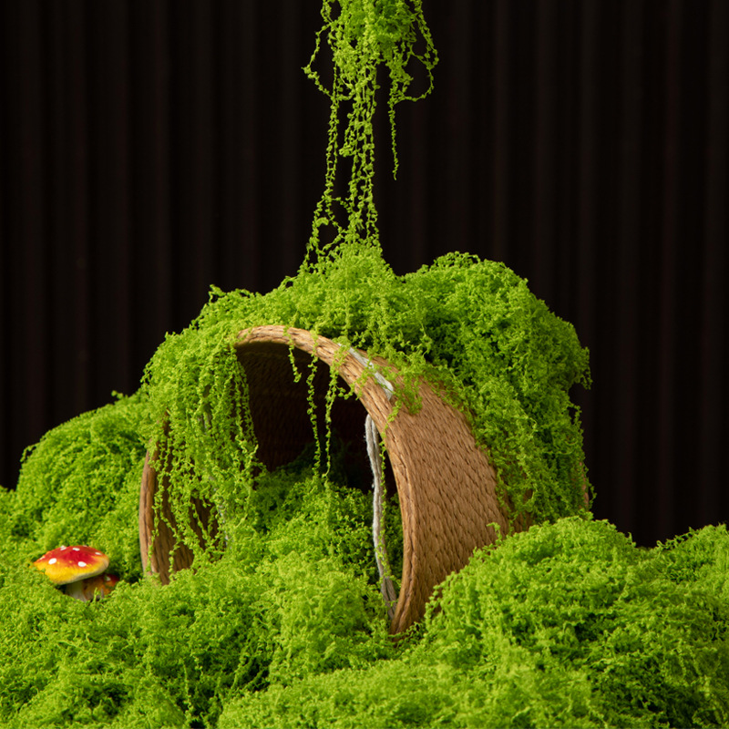 มอสอมตะ 200 กรัม สำหรับงาน DIY - Bonsai Garden Home บทวิจารณ์และราคา
