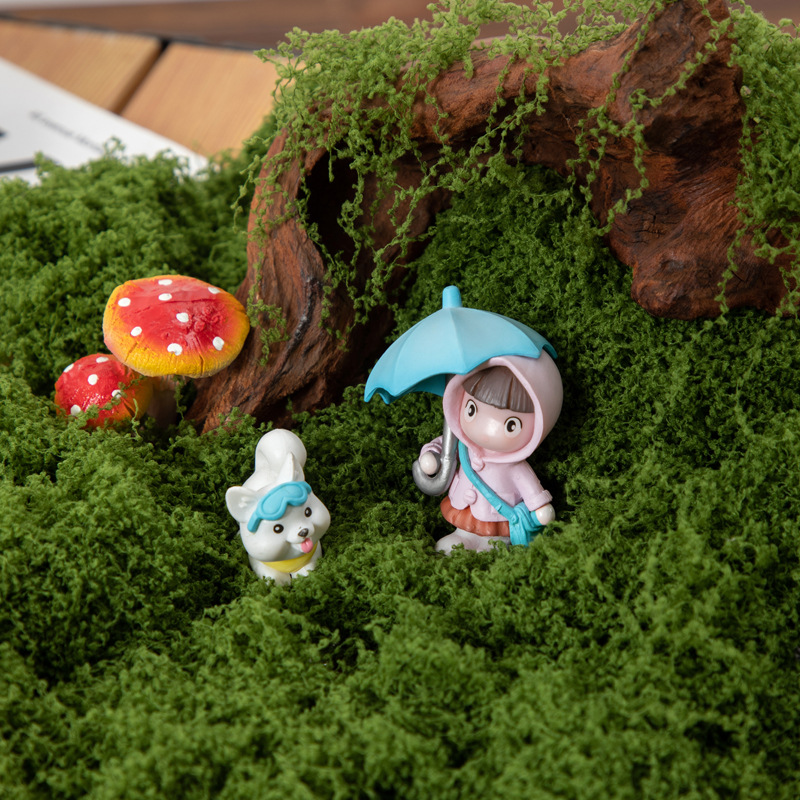 มอสอมตะ 200 กรัม สำหรับงาน DIY - Bonsai Garden Home บทวิจารณ์และราคา