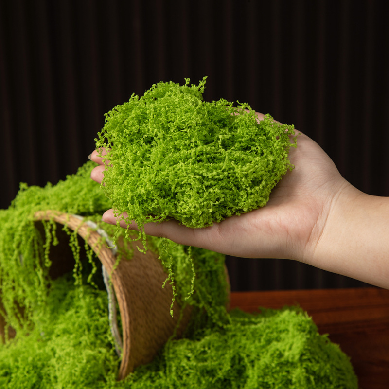 มอสอมตะ 200 กรัม สำหรับงาน DIY - Bonsai Garden Home บทวิจารณ์และราคา