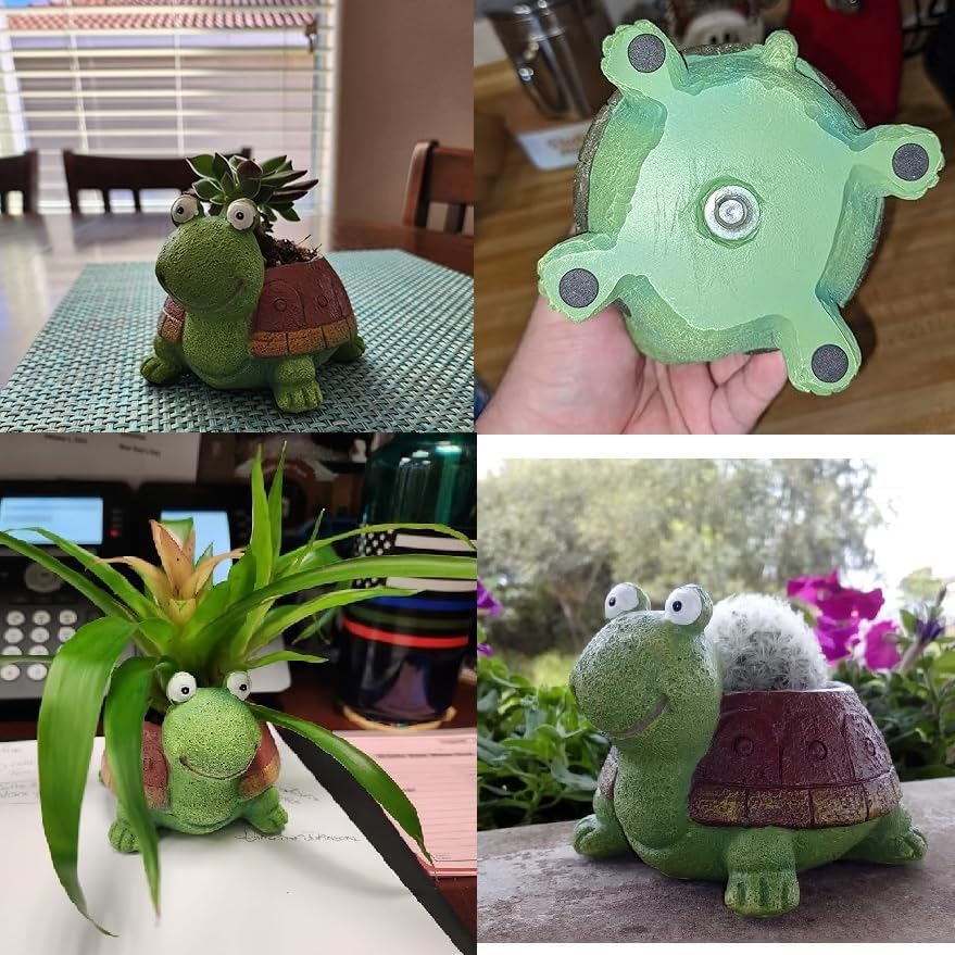 ที่ปลูกต้นไม้บอนไซรูปเต่าน่ารั - Bonsai Garden Gift บทวิจารณ์และราคา