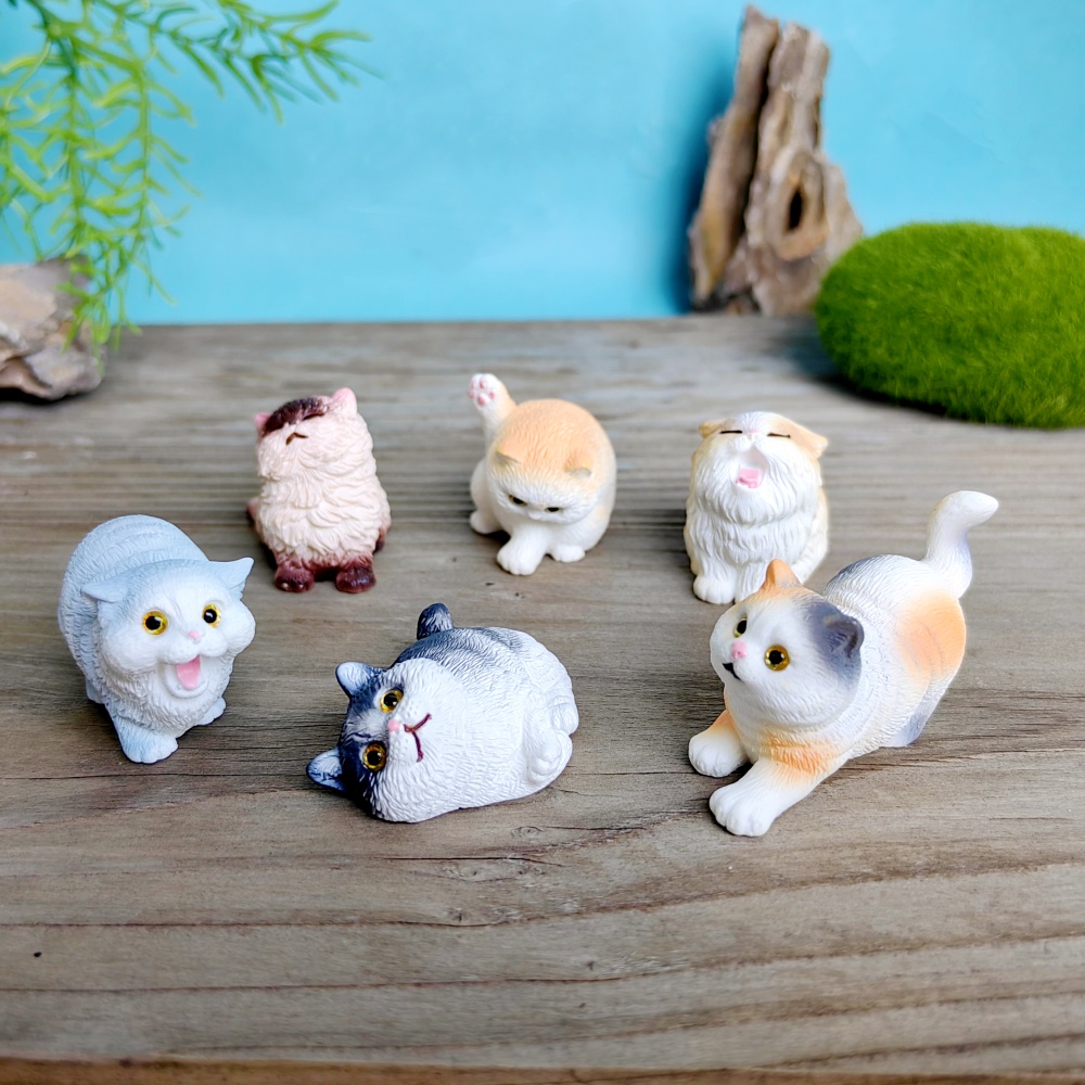 ชุดสุนัขแมวน่ารัก6ชิ้นของขวัญส - Bonsai Garden Gift บทวิจารณ์และราคา