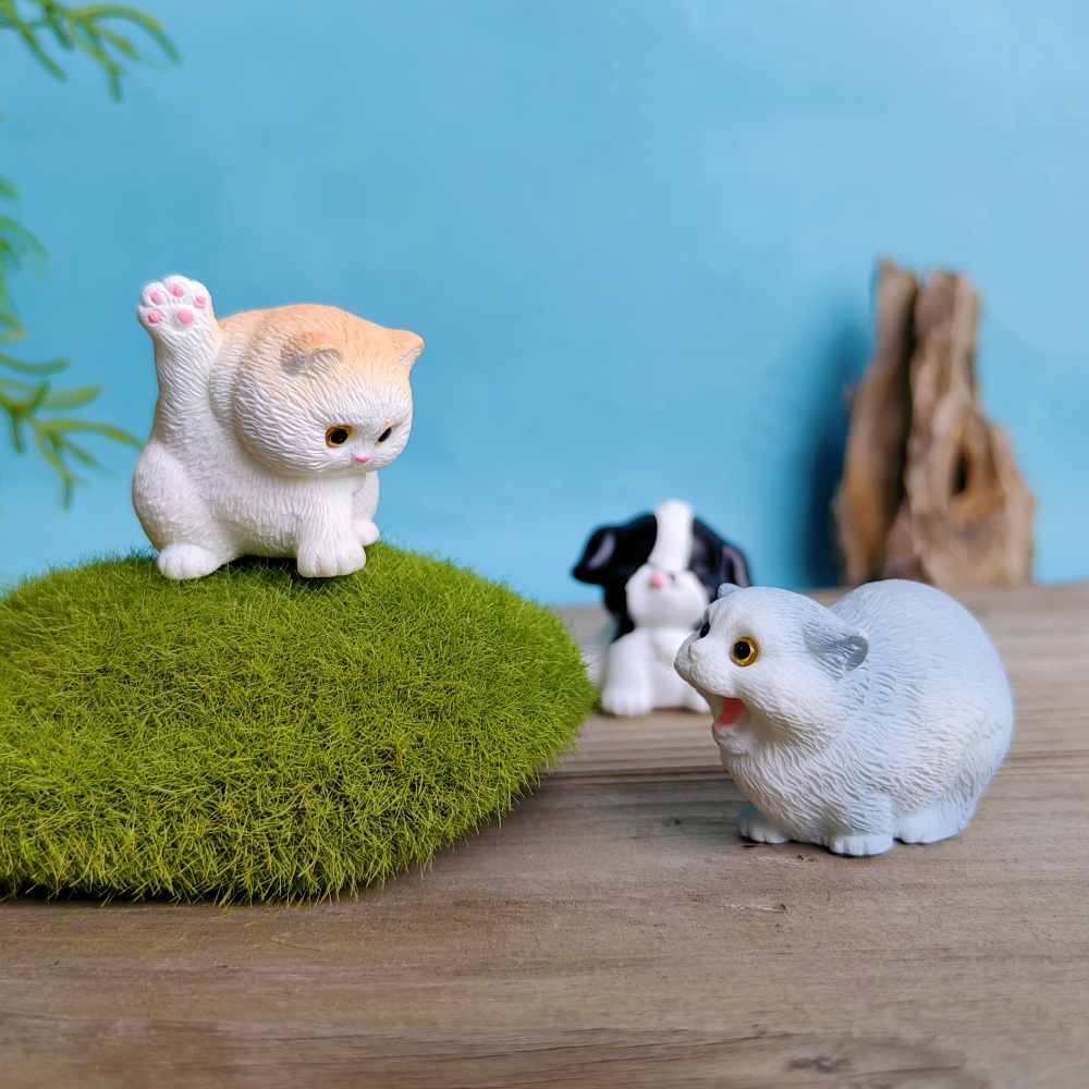 ชุดสุนัขแมวน่ารัก6ชิ้นของขวัญส - Bonsai Garden Gift บทวิจารณ์และราคา