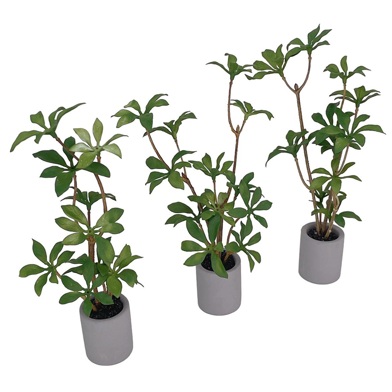 1:6 Dollhouse Miniature กระถาง - Bonsai Garden Home บทวิจารณ์และราคา